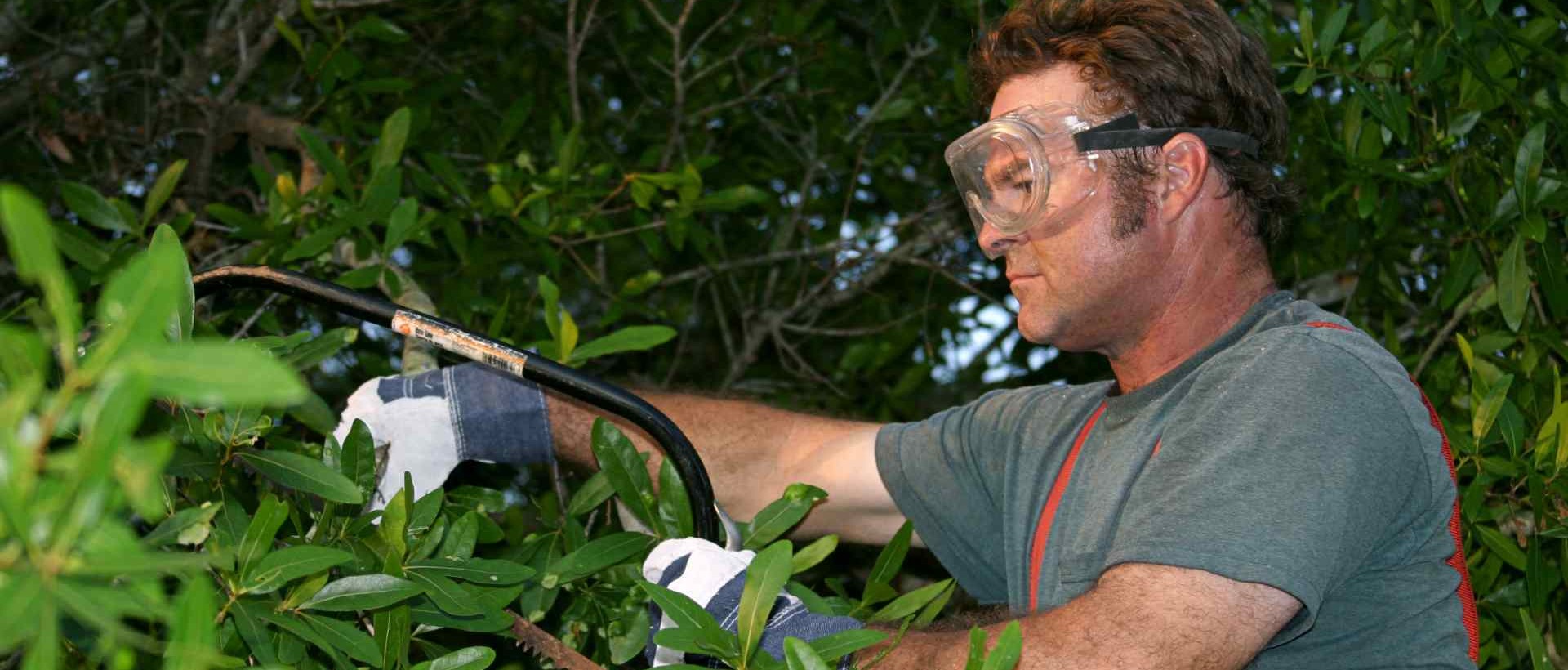 garden clearance BR5
